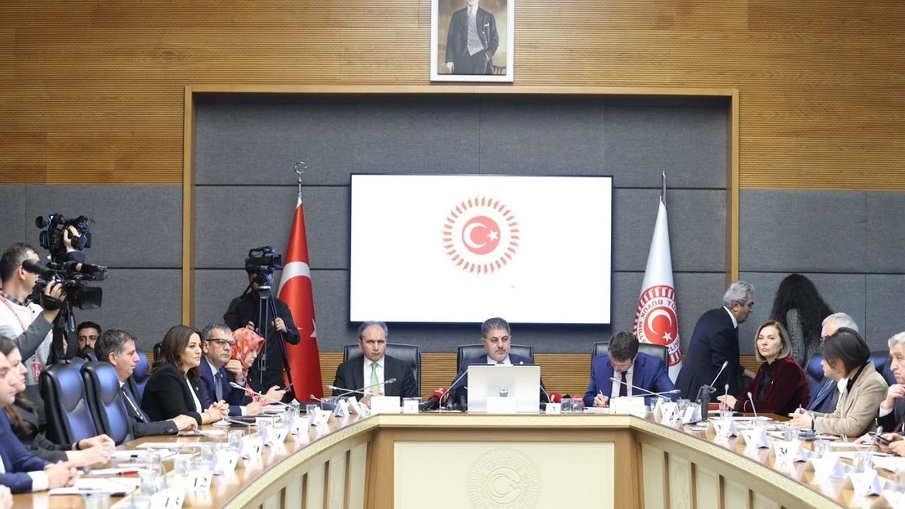 ‘Bebek Ölümlerini Araştırma Komisyonu’ Toplandı: Özel Sağlık Kuruluşlarındaki Uygulamalar ve Denetimler Ele Alındı