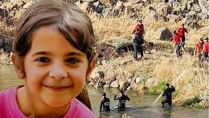 Narin Güran Cinayeti: 4 Çocuk Hakkında Takipsizlik Kararı