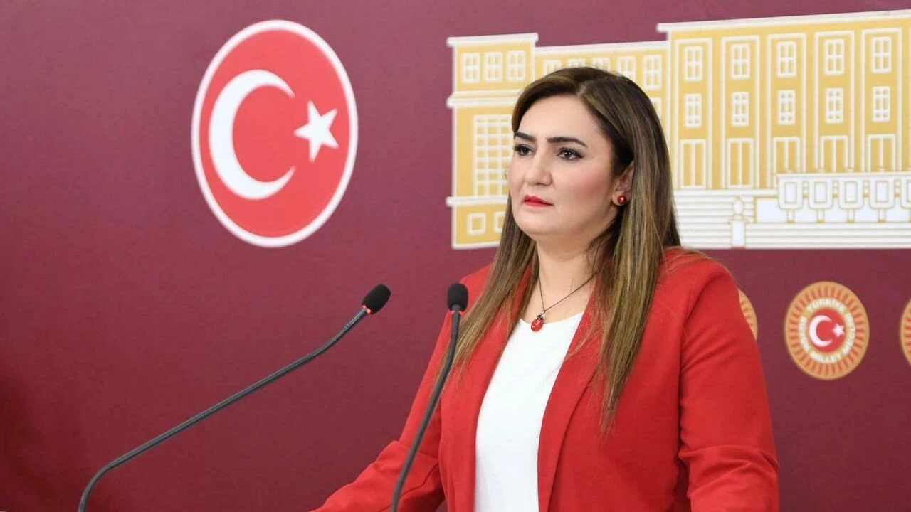 CHP’den Kanun Teklifi: ‘Cumhurbaşkanına Hakaret’ Suçu Kaldırılsın