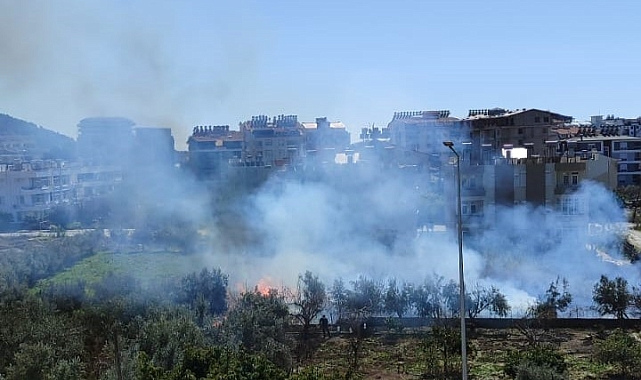 Hatay’da Sazlık Yangını: İtfaiye Ekipleri Söndürme Çalışmalarına Devam Ediyor!