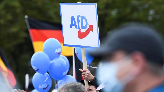 Almanya’da “Aşırı Sağcı” Olarak Sınıflandırılan AfD, Anayasayı Koruma Teşkilatına Dava Açtı