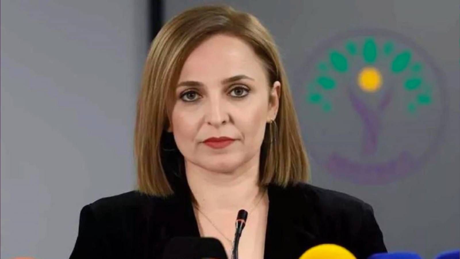 DEM Parti’den “Yeni Anayasa” ve “Silah Bırakma Komisyonu” Çağrısı: “Demokratik Türkiye İçin Birlikte Mücadele Edelim”