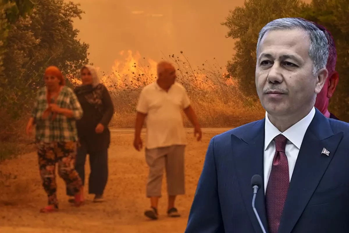 İzmir, Bilecik ve Hatay’da Orman Yangınları: 2 İlde ‘Genel Hayata Etkililik Kararı’ Alındı