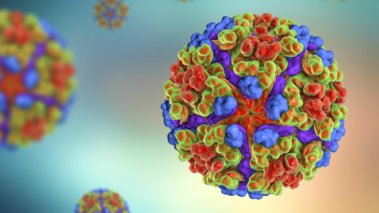 Keneden sonra yeni virüs uyarısı! Chikungunya’dan korunmak için bunları yapın