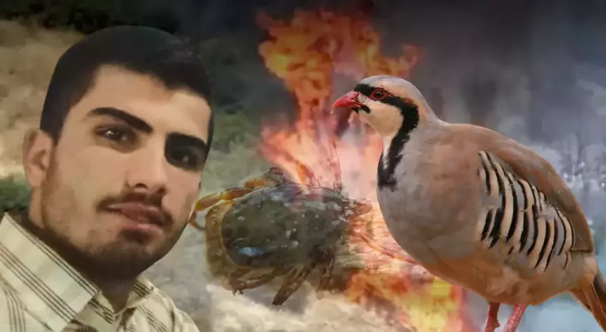 Yastıkta Kene Gördü, 120 Dönüm Araziyi Yaktı! Uzman Uyardı: “Çözüm İlaç Değil, Keklikler”