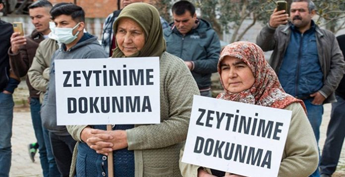 TBMM Önünde Zeytinlik Kıyımına Karşı Eylem: “Bu Yasa Teklifinin Bir Tek Maddesine Bile Geçit Vermeyeceğiz!”